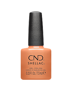 Shellac UV Polish Daydreaming #465 7.3 mL