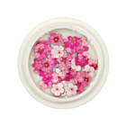 Ensemble Nail Art Forme 06 - Fleurs Roses