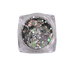 Nail Art Glitter Circles - Holographic Silver