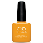 Shellac UV Polish Among the Marigolds #395 7.3mL