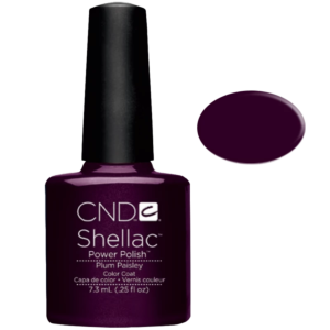 Shellac Plum Paisley Purple