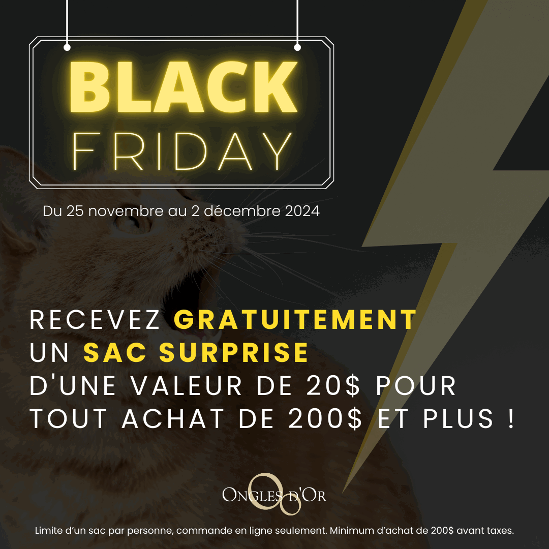 Black Friday Ongles d'Or Cadeau