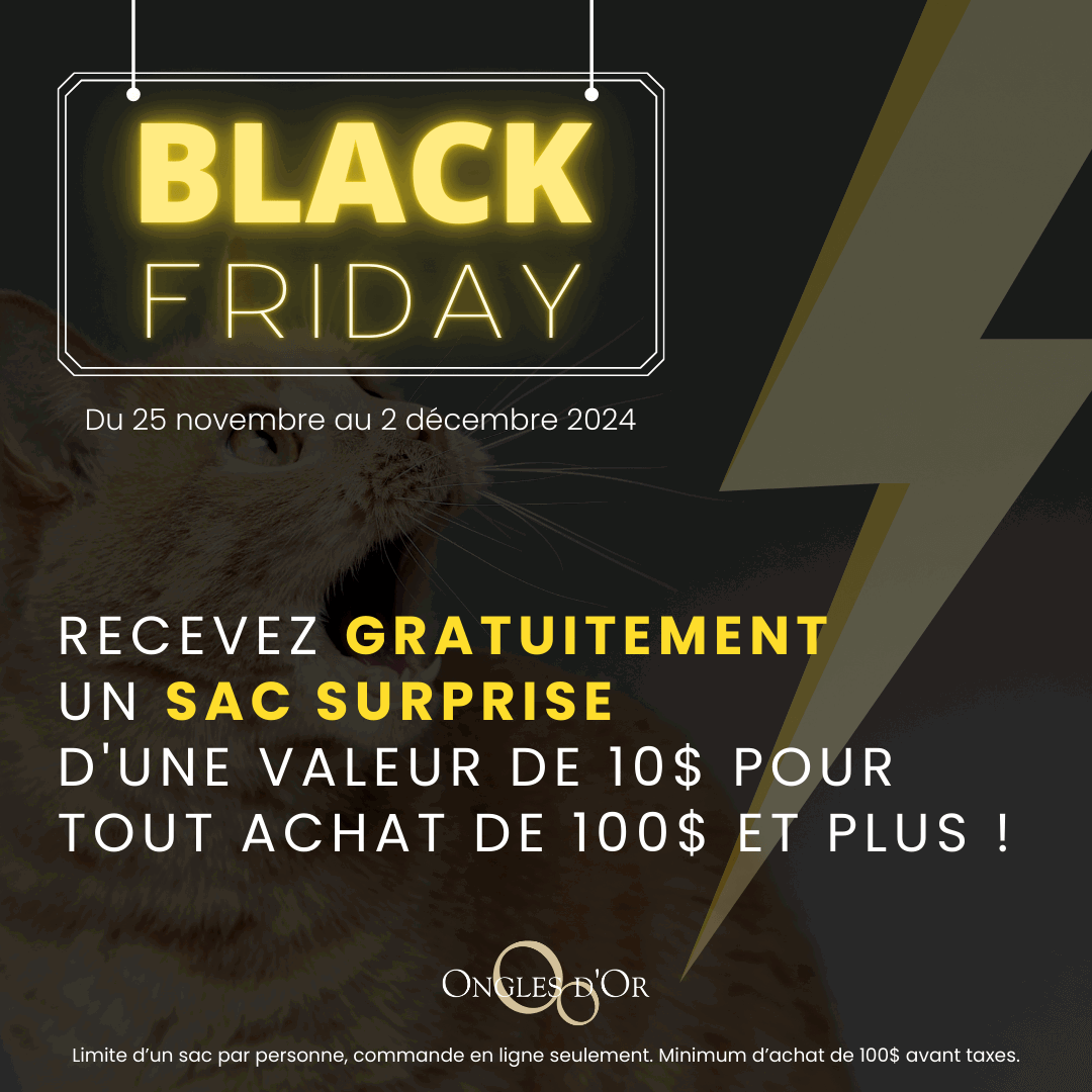 Black Friday Ongles d'Or Cadeau